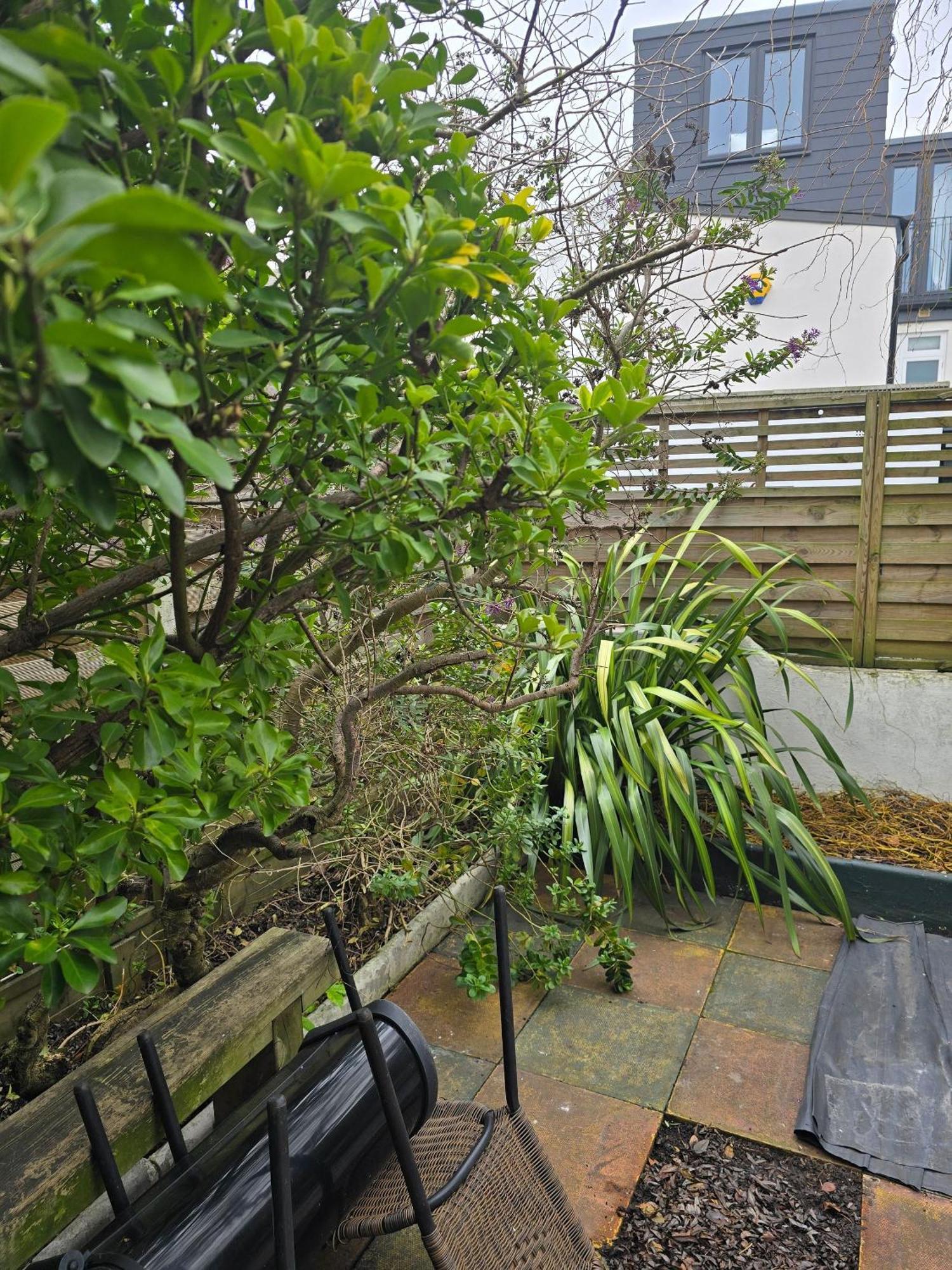Affittacamere In Guest - Ground Floor Two Bedroom Flat *